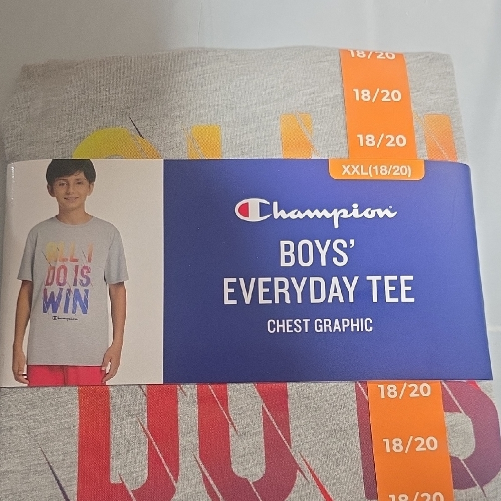 Champion Boys' Graphic Tee in Gray and Red And Chapion Joggers Size 18/20
